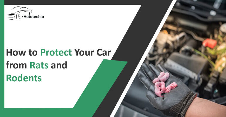 How to Protect Your Car from Rats and Rodents